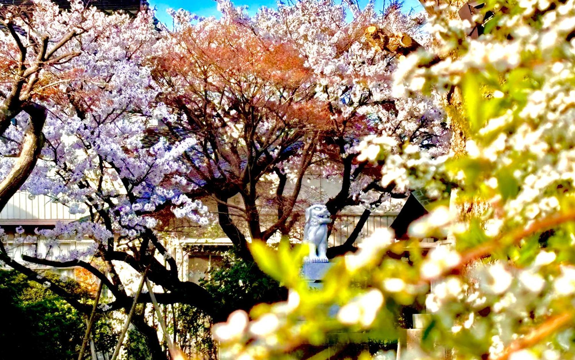 Copain Kurumi Kanazawa Exterior foto